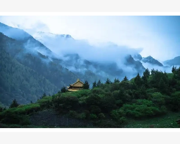 刮痧真的有用吗？多长时间才能见效？